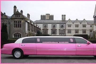 Limo  rosa