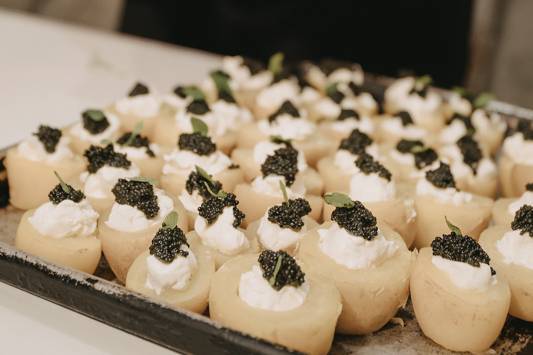 armadocanape