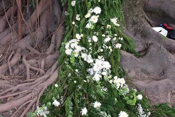 Cascada en árbol de Hule