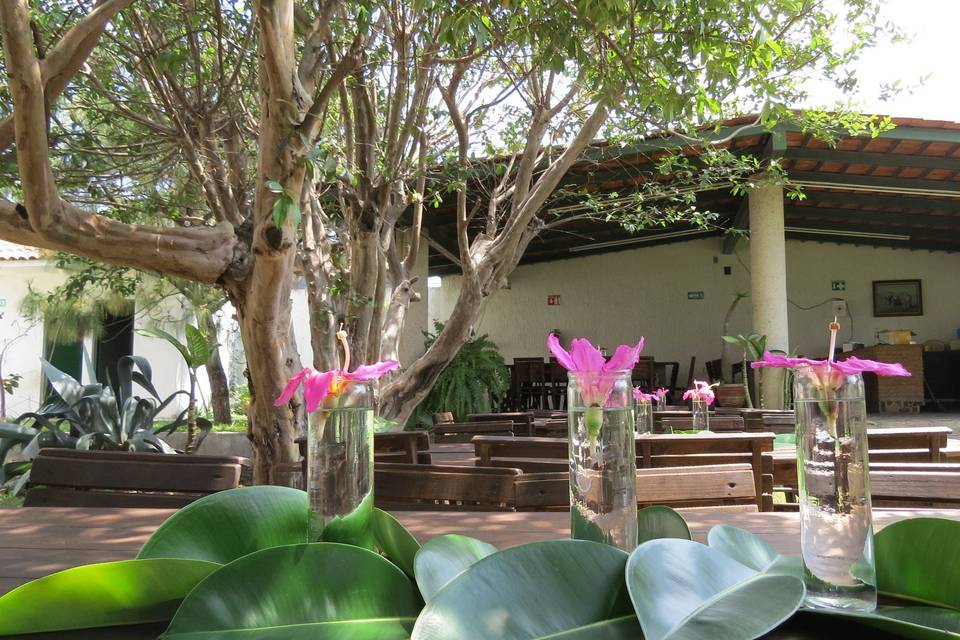 Terraza y área abierta