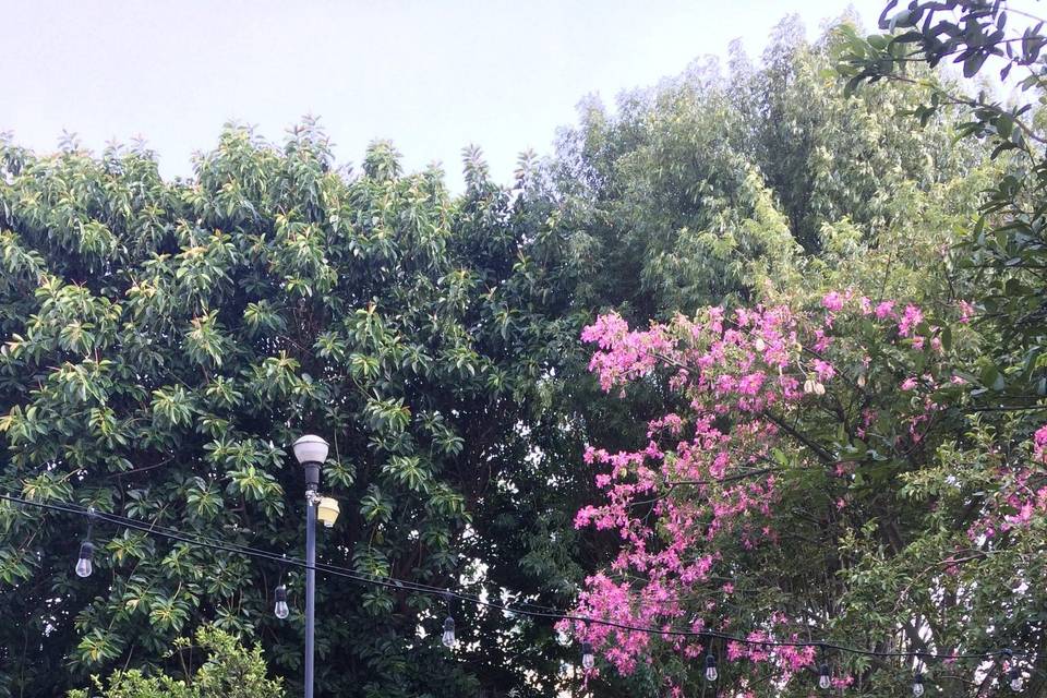 Lleno de flora