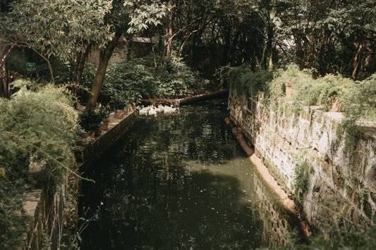lagoconpatos