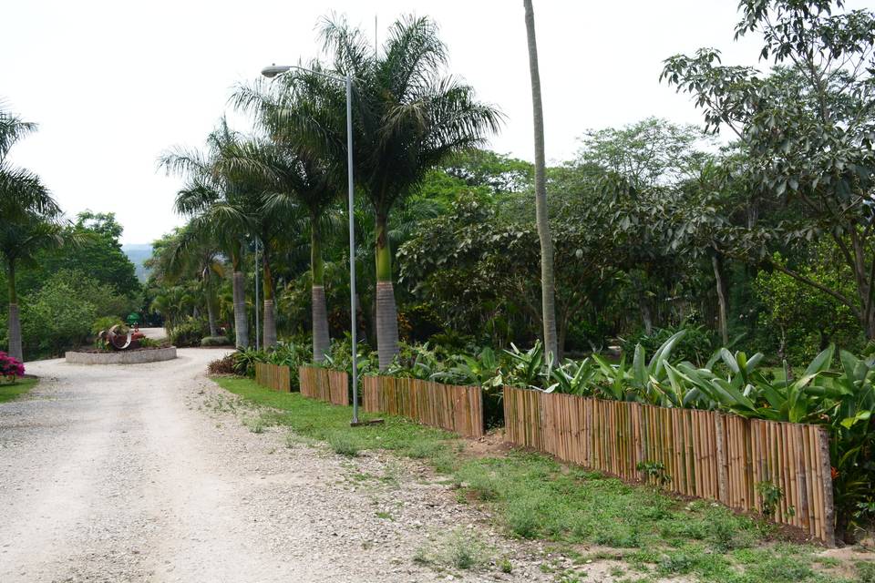 Acceso a Jardín