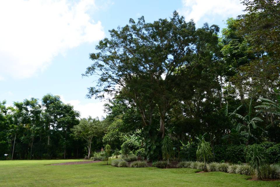 Vistas del jardín principal