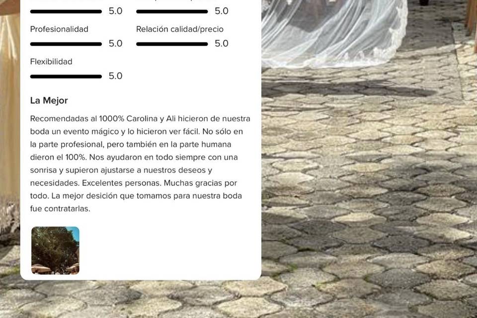 RESEÑAS