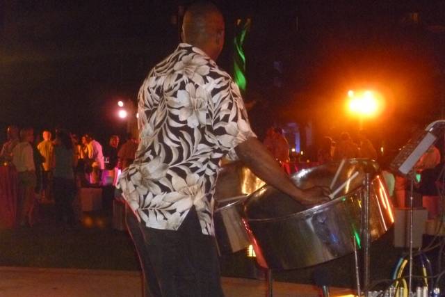 Bryan Parris Steeldrums