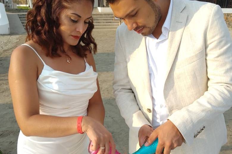 Bodas Alternativas