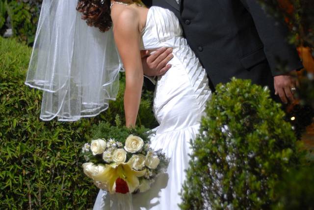 Sesión formal nocturna