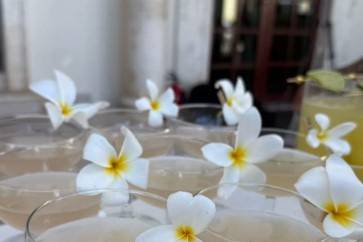 Coctel
