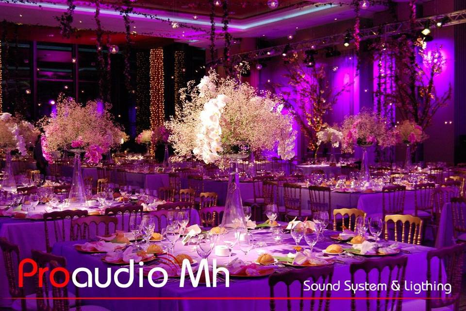 Proaudio Mh