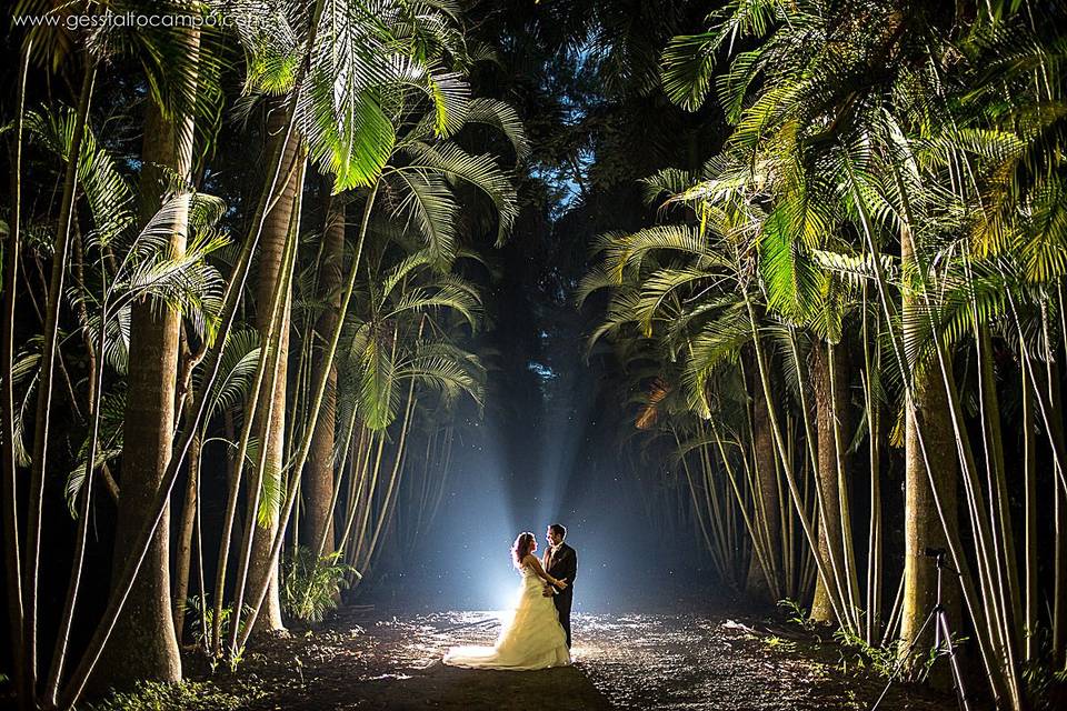 Trash The Dress