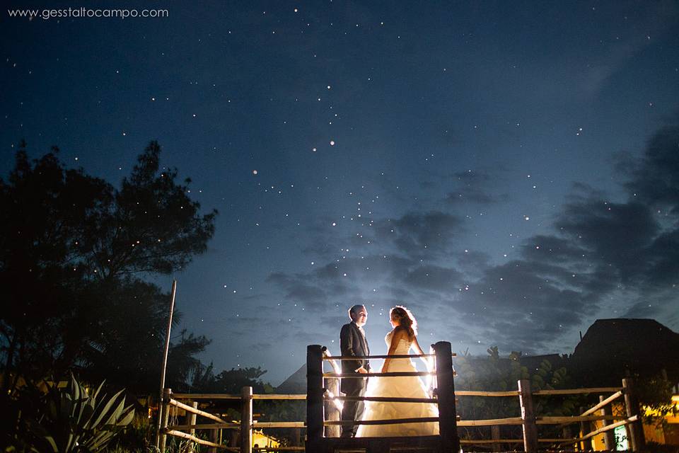 Trash The Dress