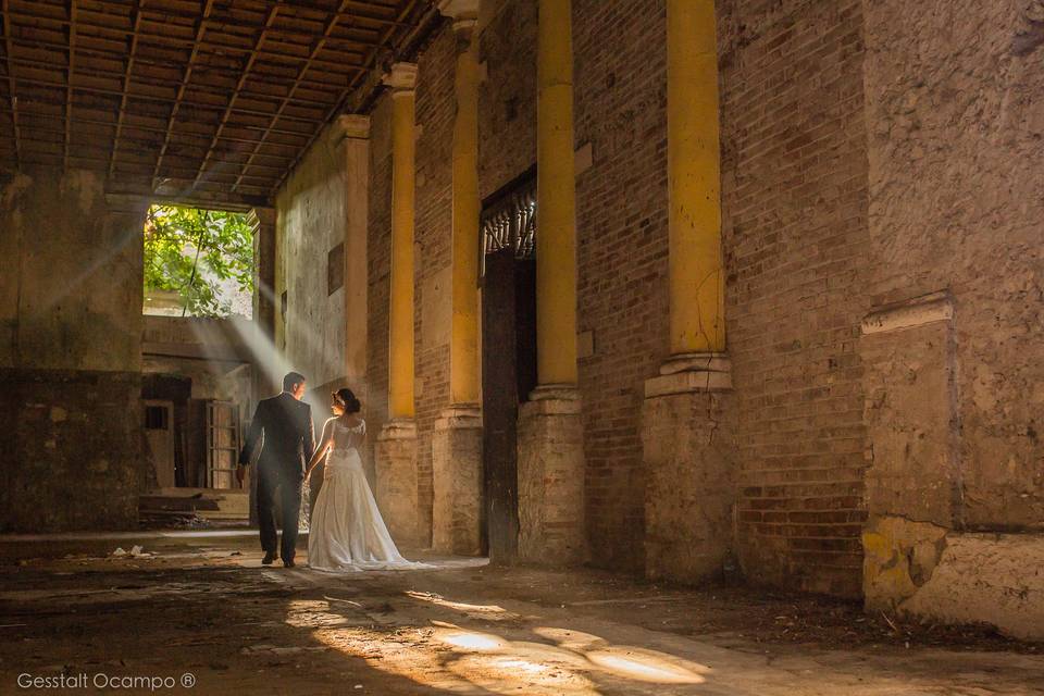 Trash The Dress