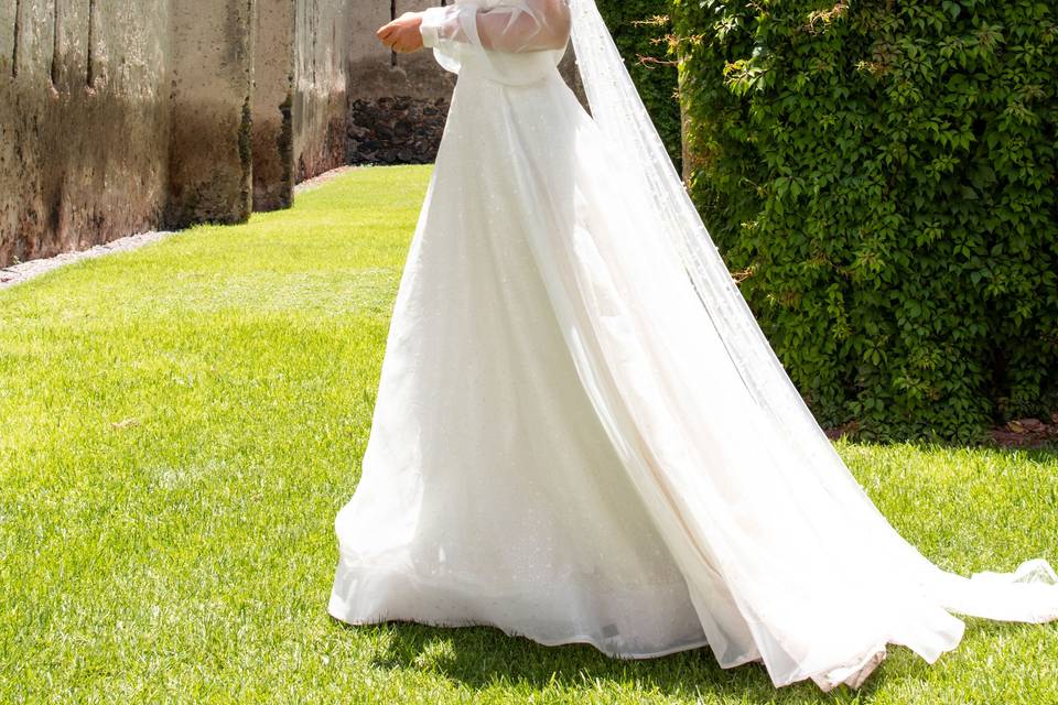 Novia