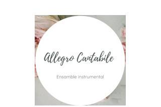 Allegro Cantabile