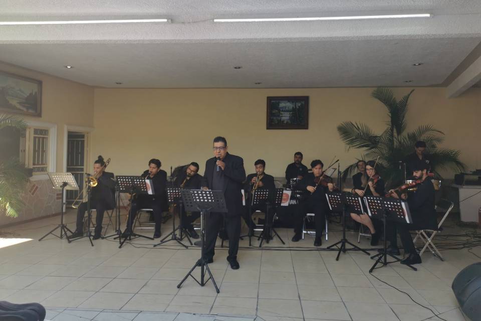 Orquesta