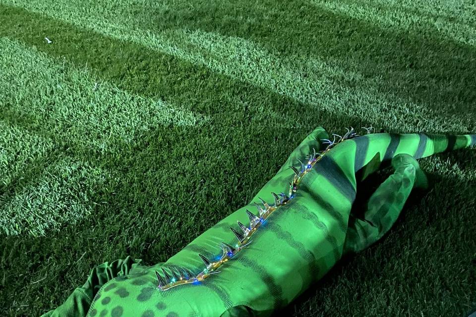 Iguana