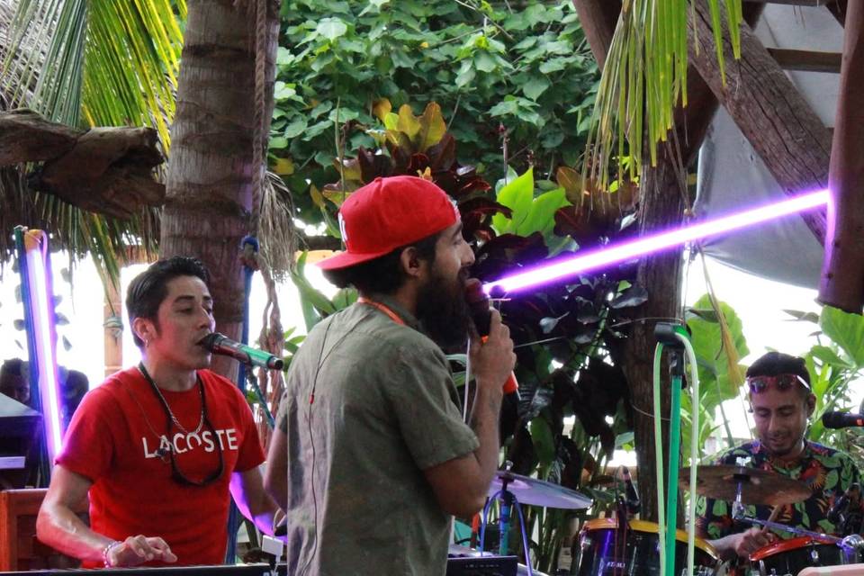 Tropicuyos