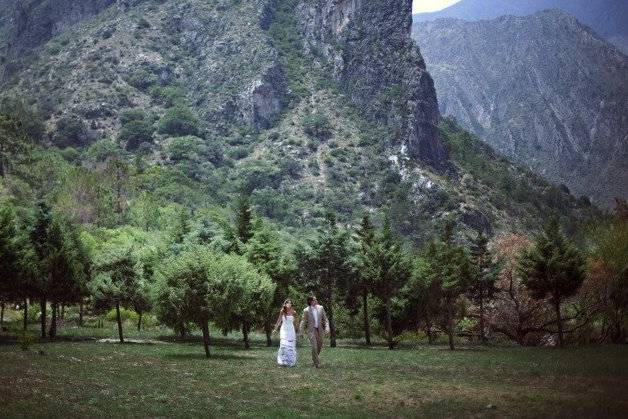 Los novios en el jardin