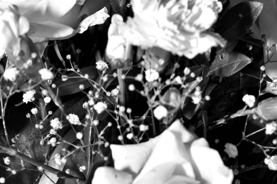 Fabrizzio Pinto Photographer