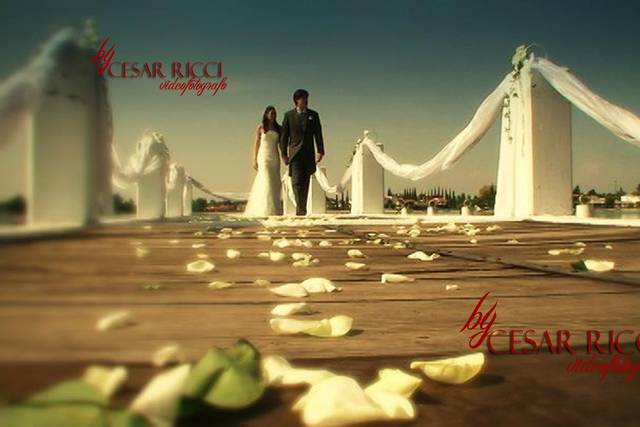 Fotografía para bodas