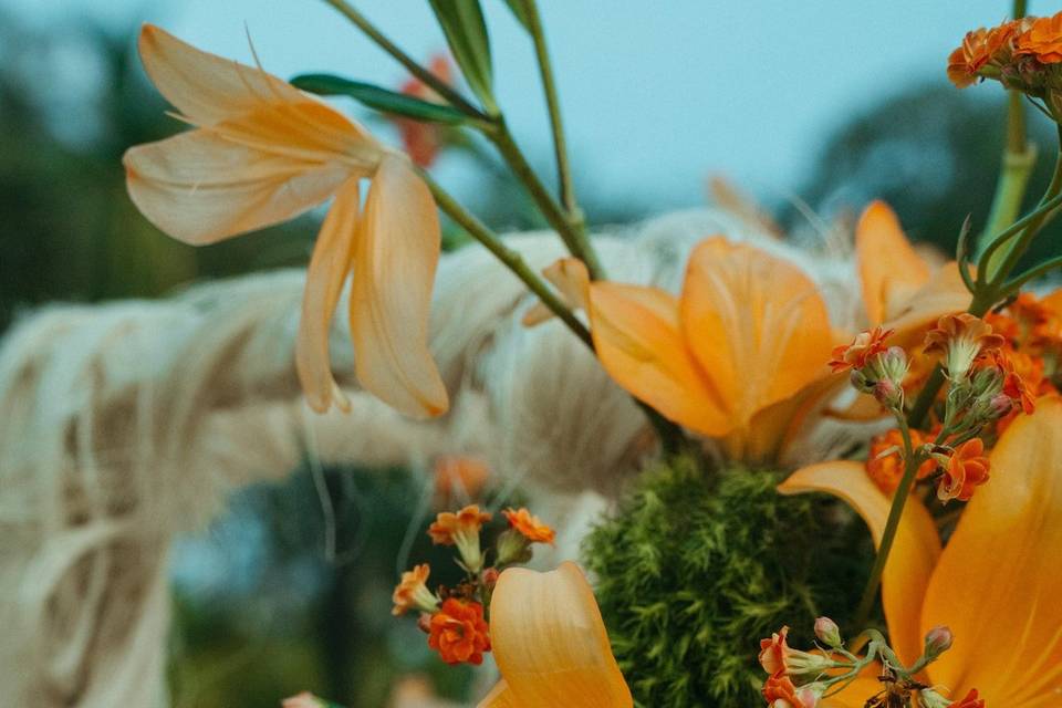Detalles de flores