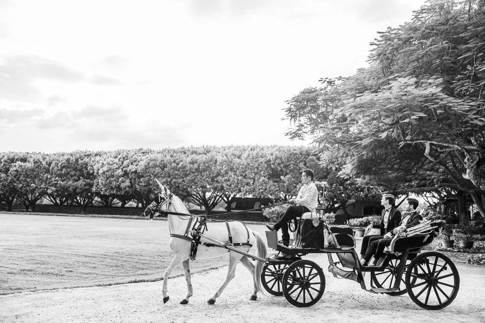 Wedding Yucatan