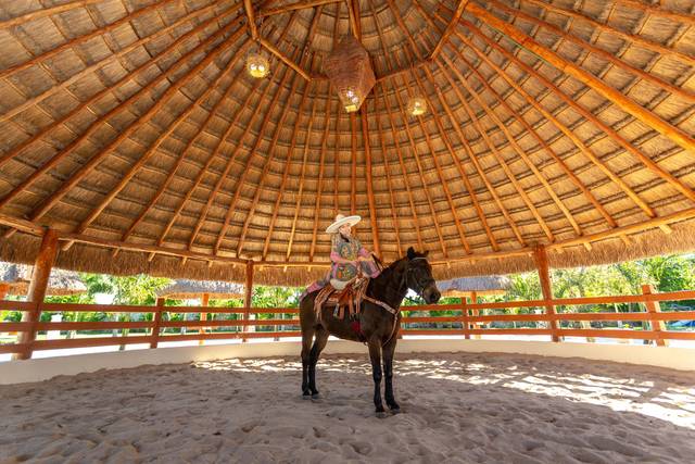 Palapa con Ruedo
