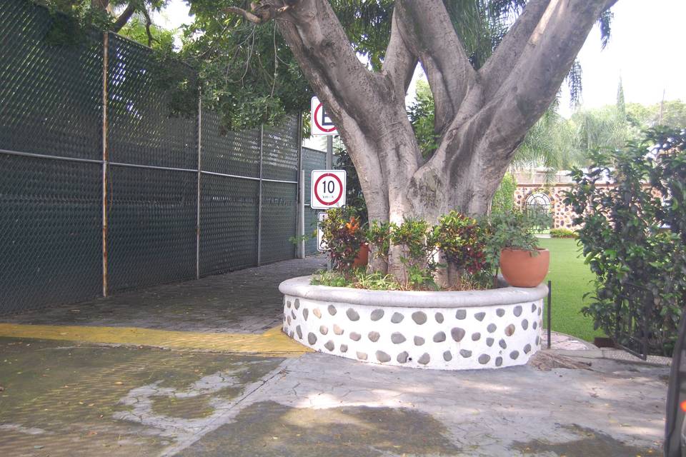 Sombra todo el año