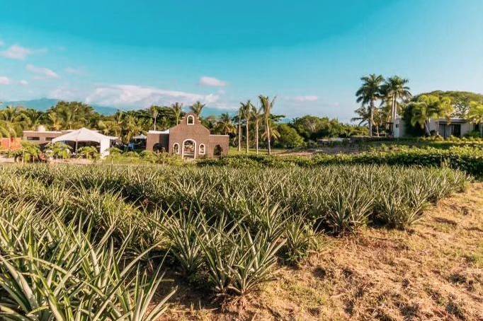 Espacio en medio de la naturaleza para celebrar eventos