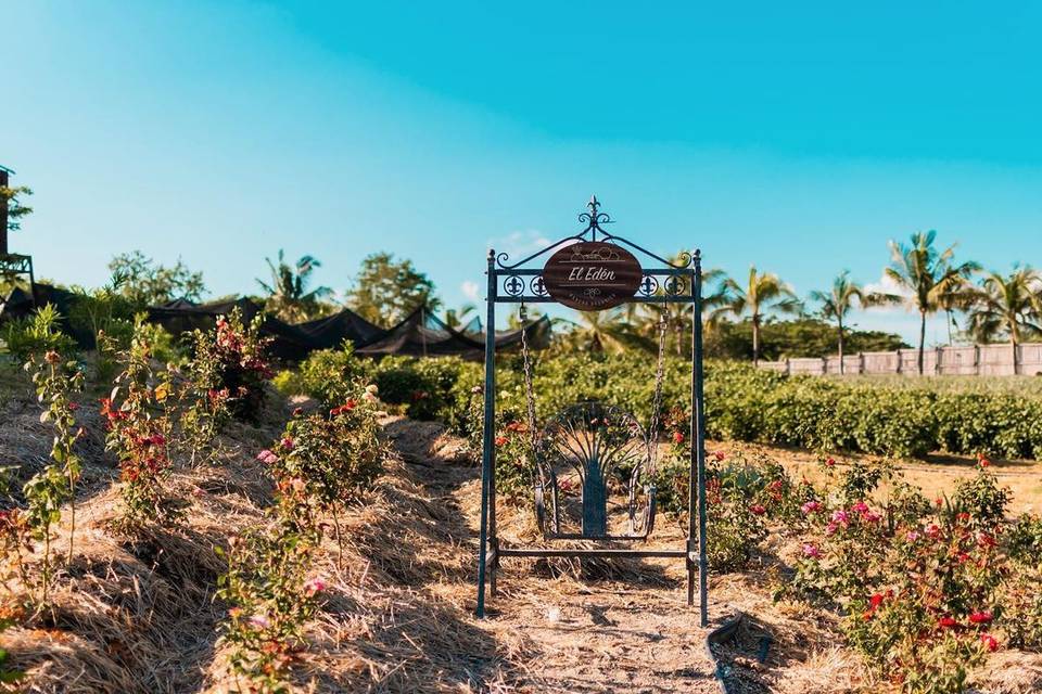 Espacio en medio de la naturaleza para celebrar eventos