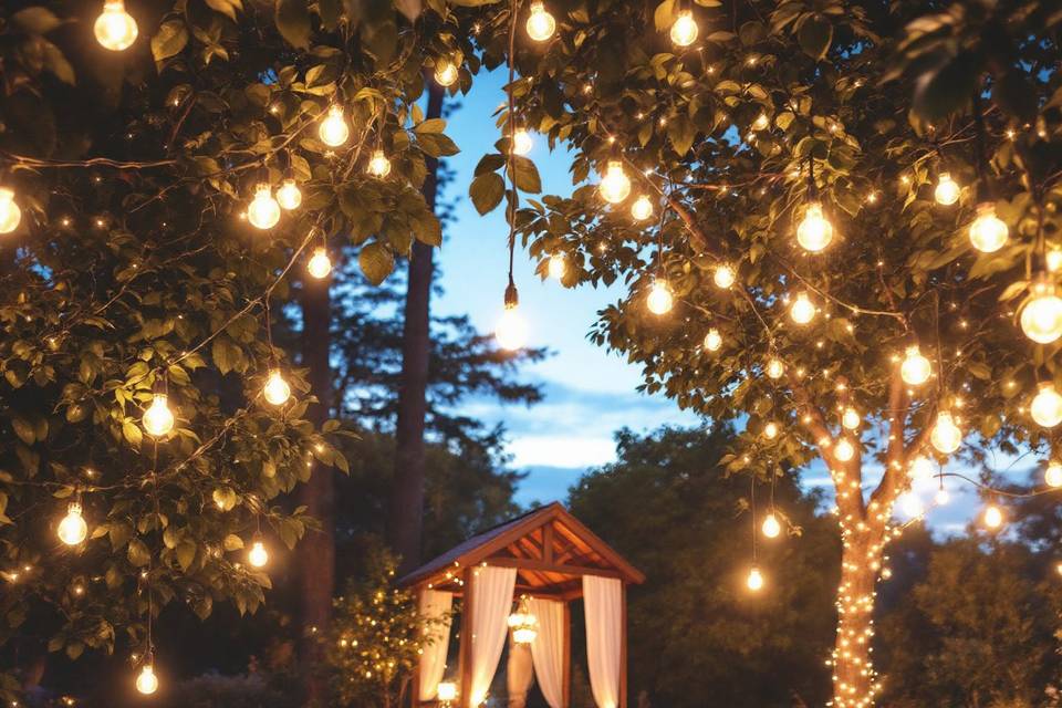 Ambientación de jardín con luces