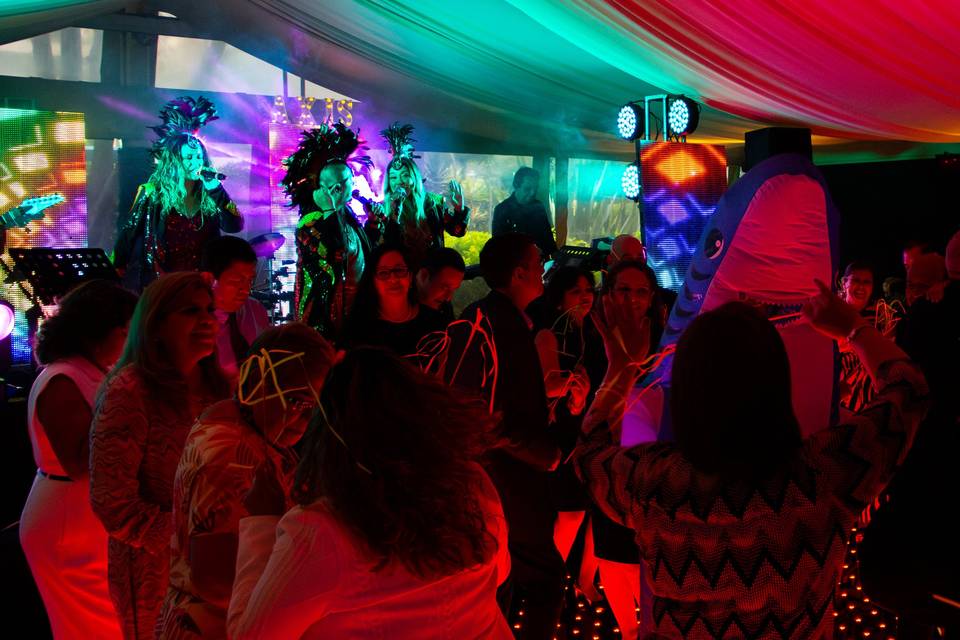Show Baile