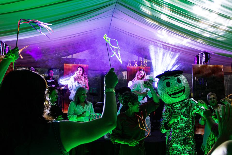 Show Disco