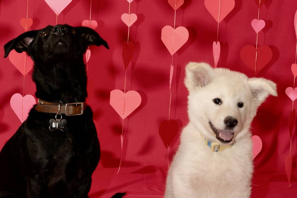San Valentín