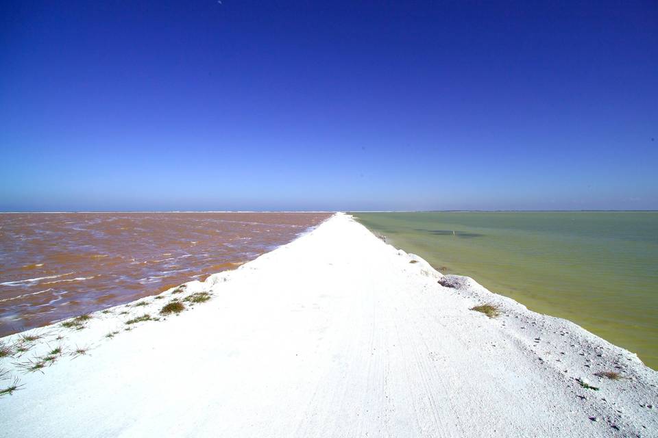 Las coloradas