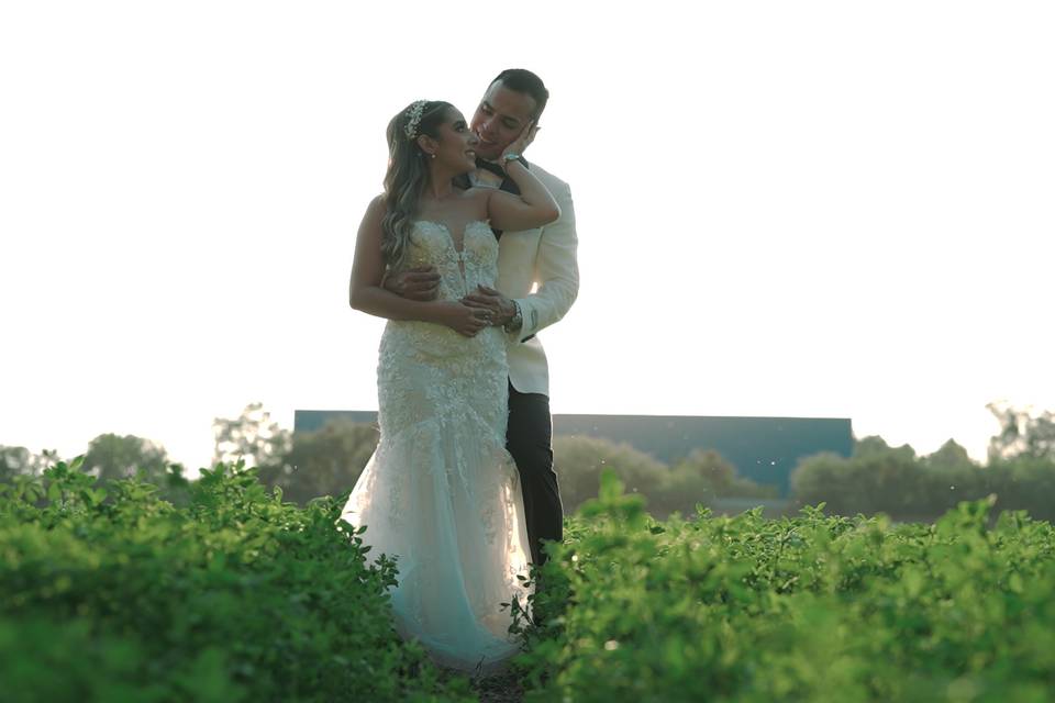 Novios abrazados en medio de un jardín