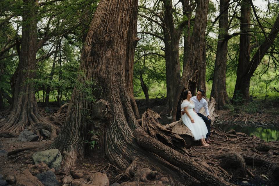 Novios sentados en bosque