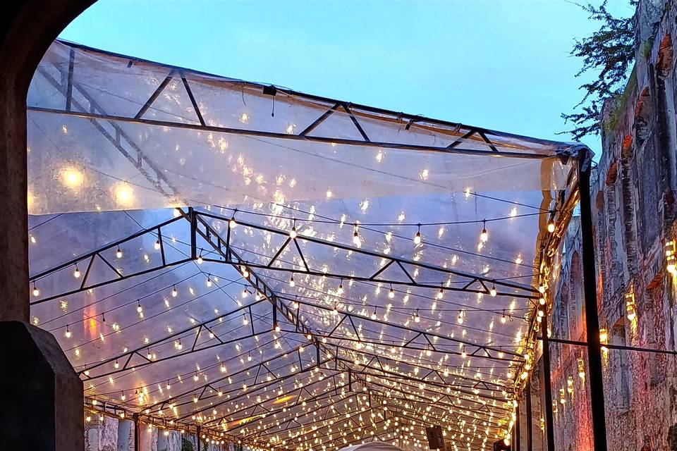 Carpa con luces
