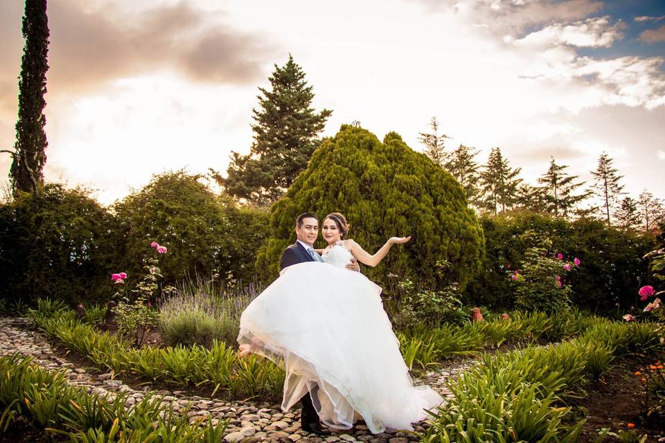 Trash the dress d & a