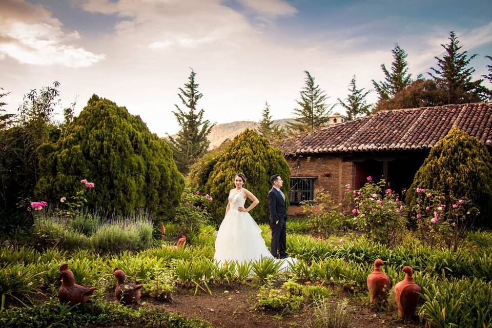 Trash the dress d & a