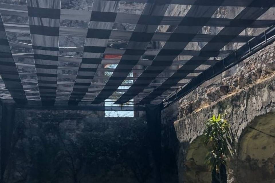 Carpa negra entrelazada