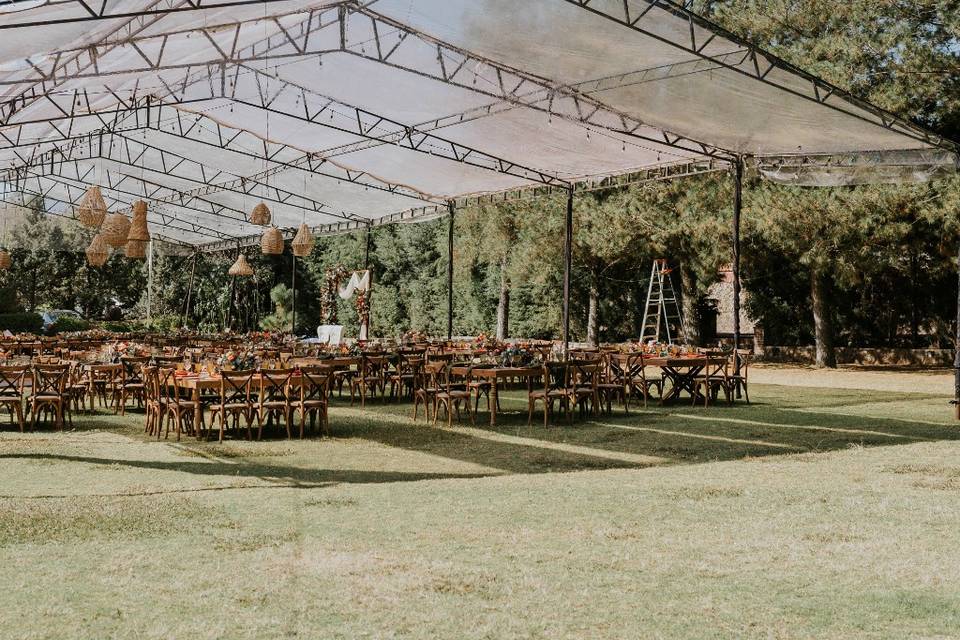 Carpa transparente