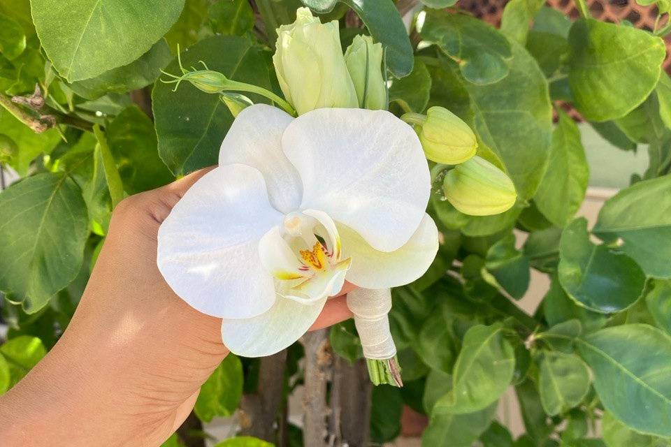 Boutonnière de orquídea