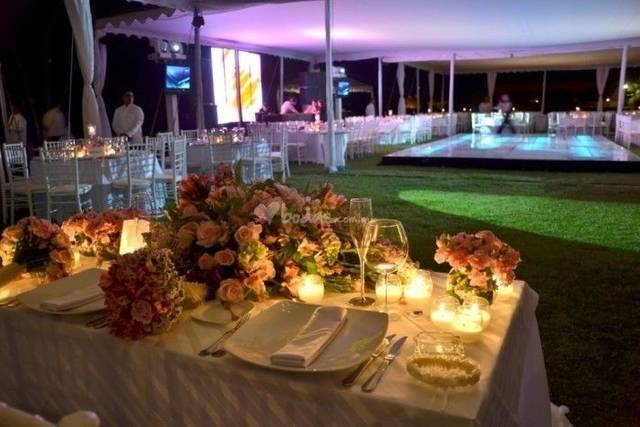 Carpa iluminada de color