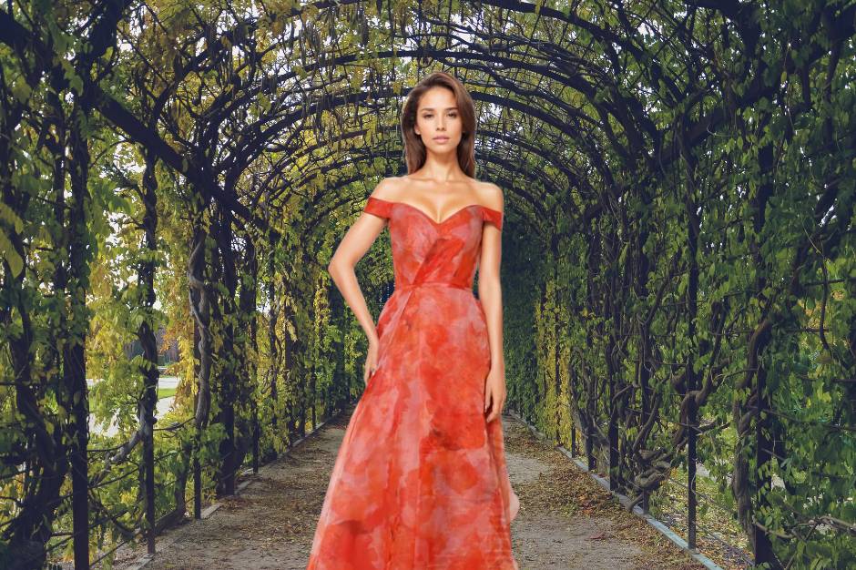 Dress Allure