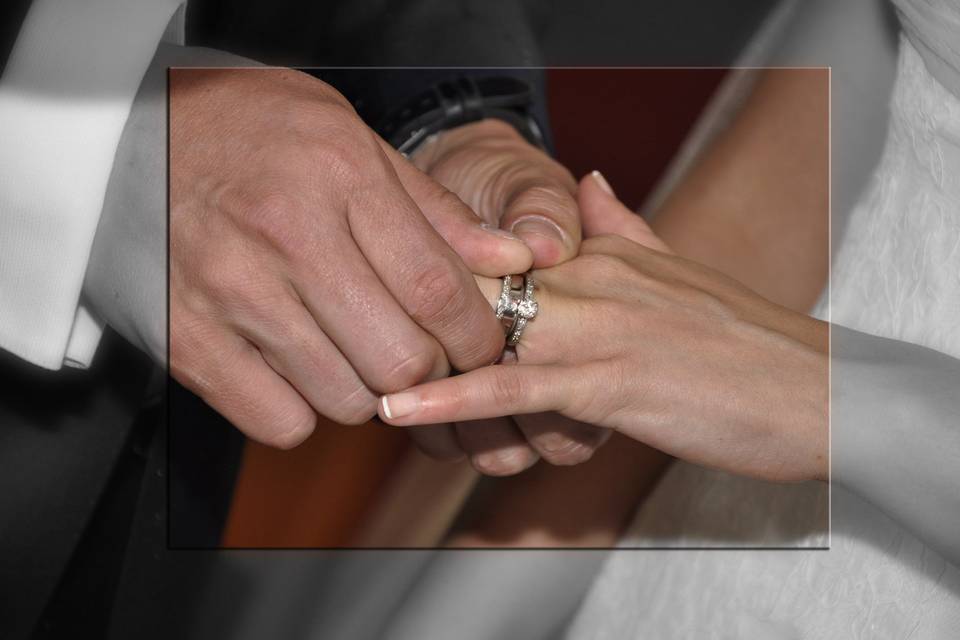 Fotografía detalle de anillos