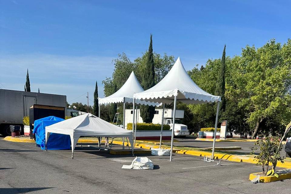 Carpas de pico