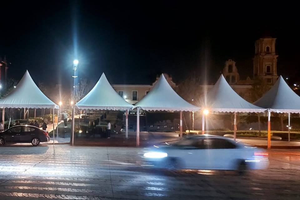 Carpa Pagoda