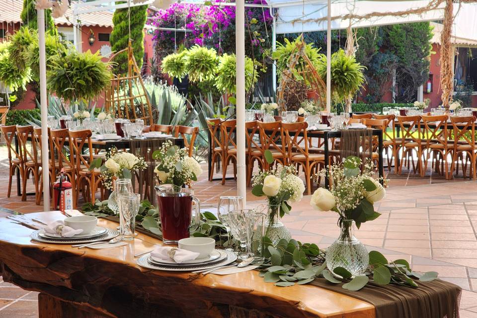 Jardin Zacapa